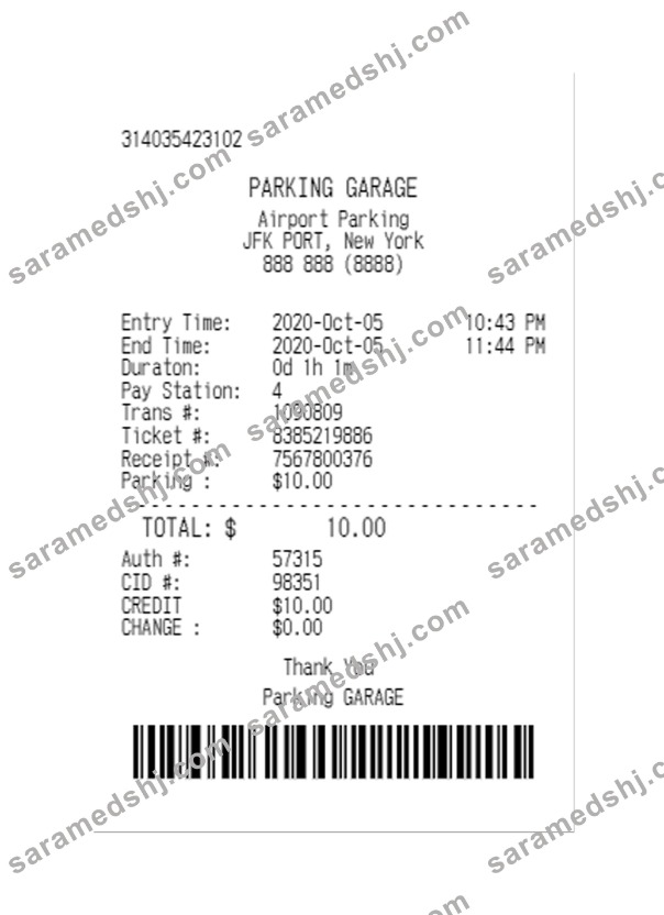 PARKING GARAGE payment check template
